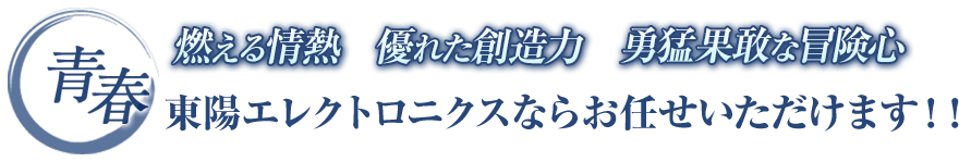 勇猛果敢な冒険心、優れた創造力、燃える情熱、東陽エレクトロニクスならお任せいただけます！！